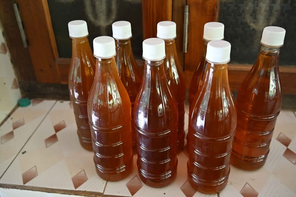 Honey yellapur karnataka 100% pure image